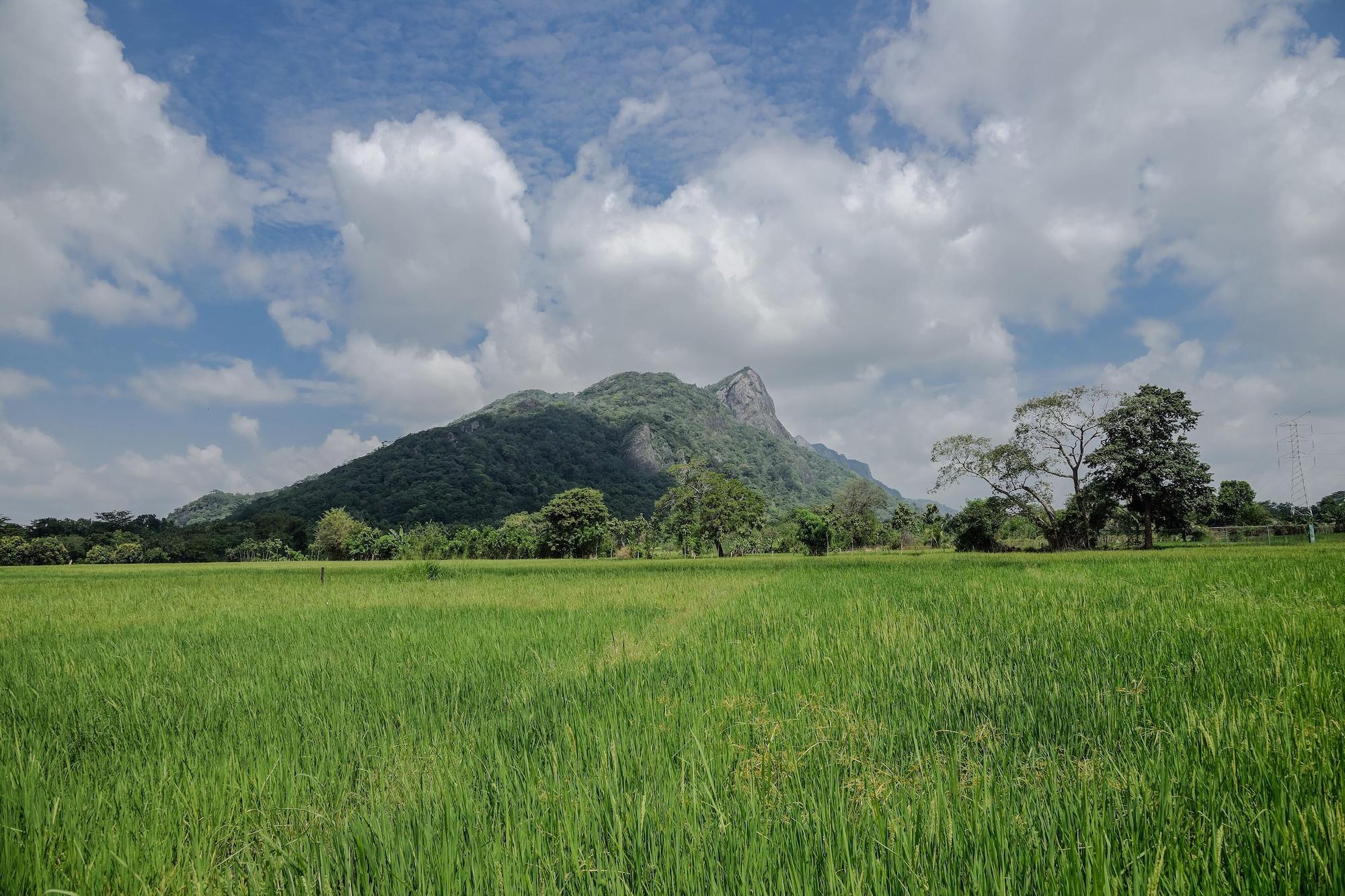 Hotel Kalundewa Retreat Dambulla Zewnętrze zdjęcie