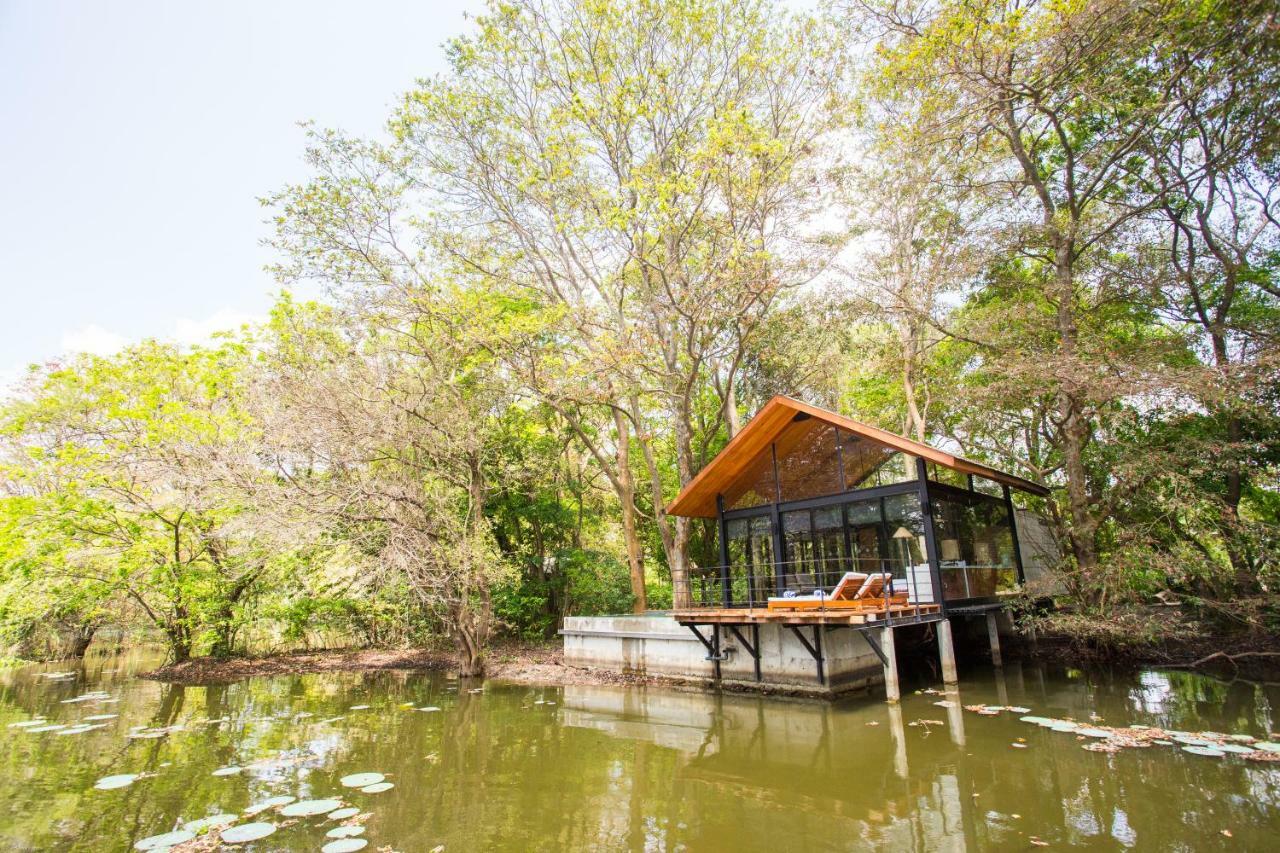 Hotel Kalundewa Retreat Dambulla Zewnętrze zdjęcie